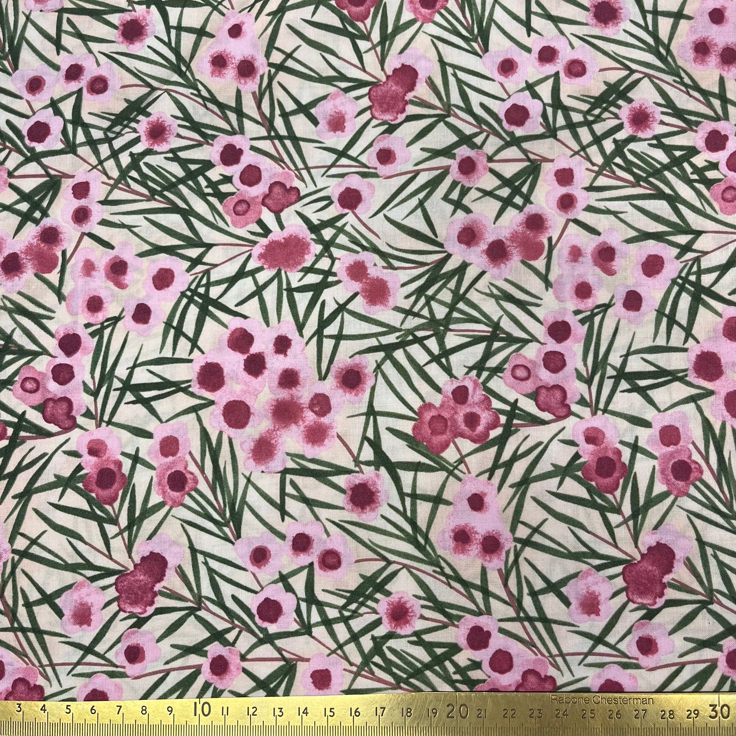 Wax Flower - Pink