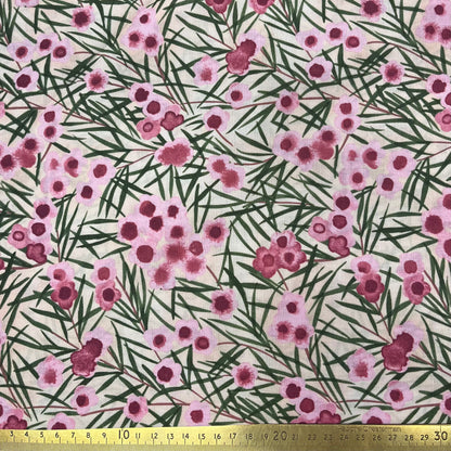 Wax Flower - Pink