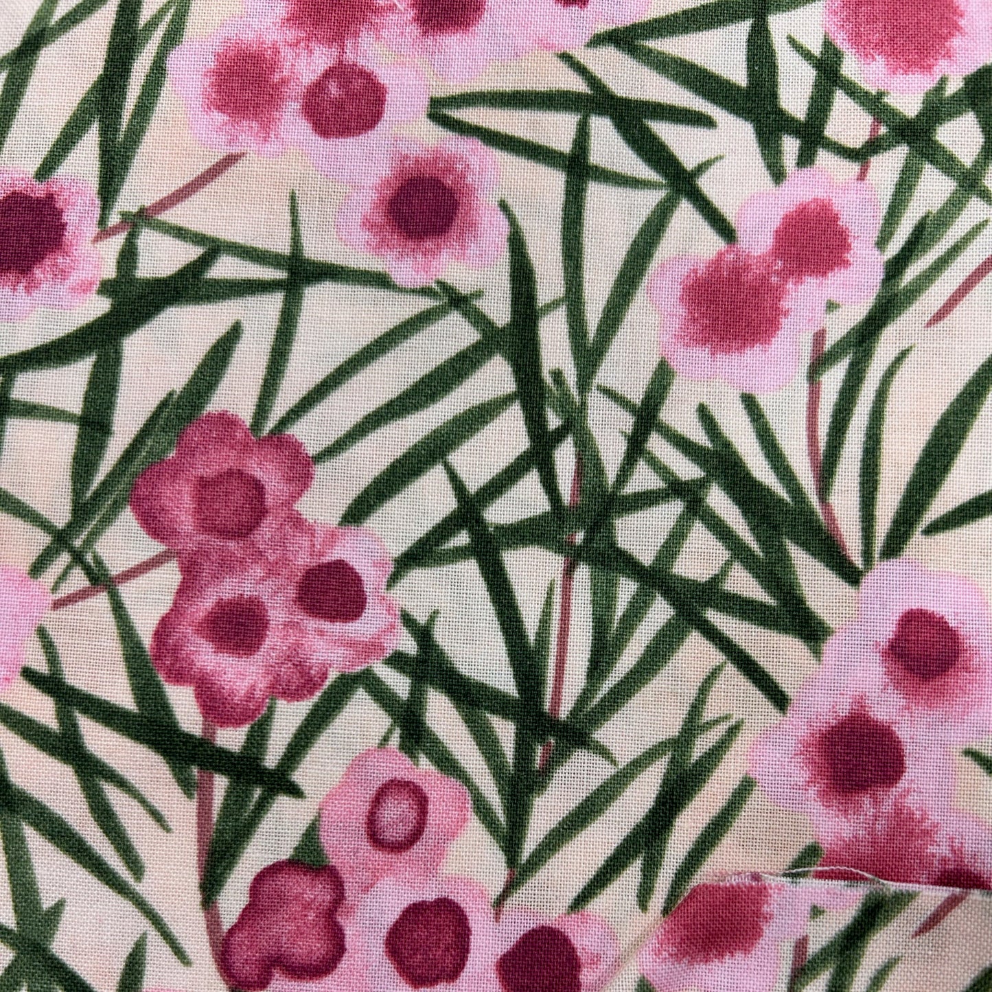 Wax Flower - Pink
