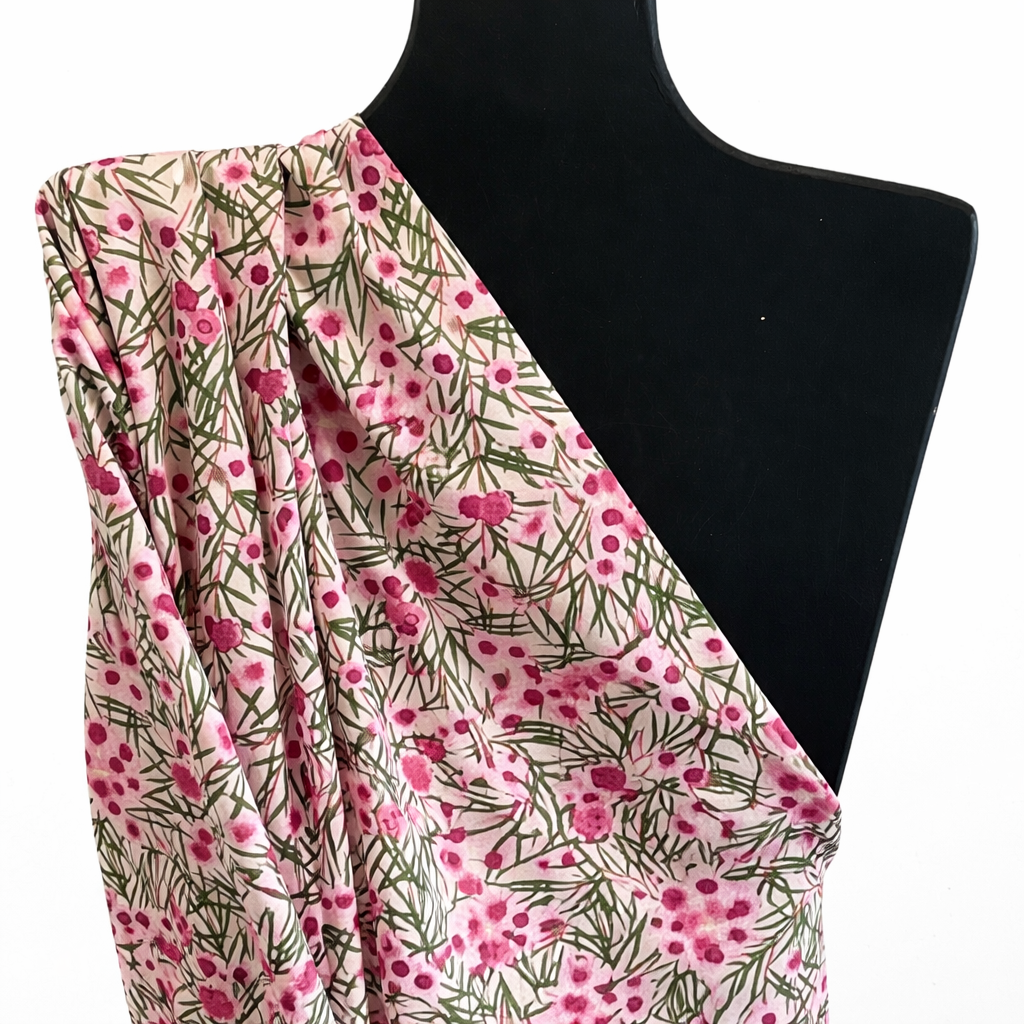 Wax Flower - Pink